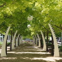 Klyde Warren Park - Butterfly Garden Arches
